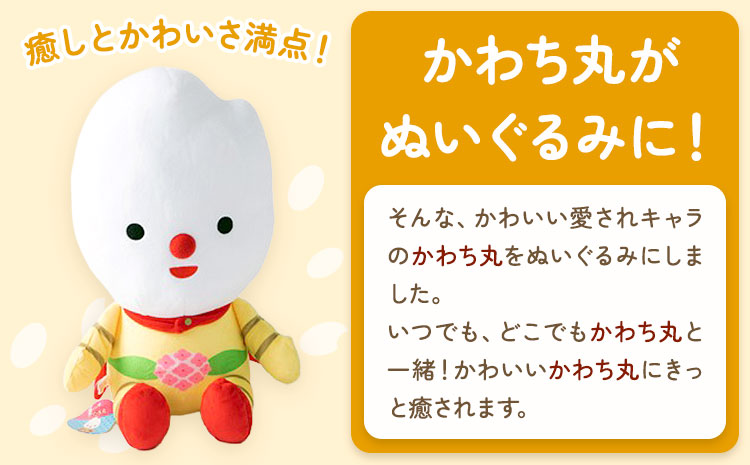 河内町 イメージキャラクター かわち丸 ぬいぐるみ 2個セット(大1個、小1個) まちづくり河内株式会社かわち夢楽《30日以内に出荷予定(土日祝除く)》 茨城県 河内町 ぬいぐるみ かわち丸 ボールチェーン付き---kawachhi_mura_15_2p---