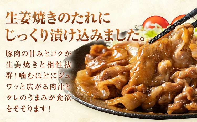 【ふるさと納税】匠坂東豚 国産豚 切り落とし 生姜焼き 味付 選べる 1kg (250g×4パック) 2kg (250g×8パック) 株式会社坂東太郎　おにくブッチャーズ《30日以内に出荷予定(土日祝除く)》茨城県 河内町 豚 豚肉 肉 おかず【配送不可地域あり】---kawachhi_btro_5_1kg---