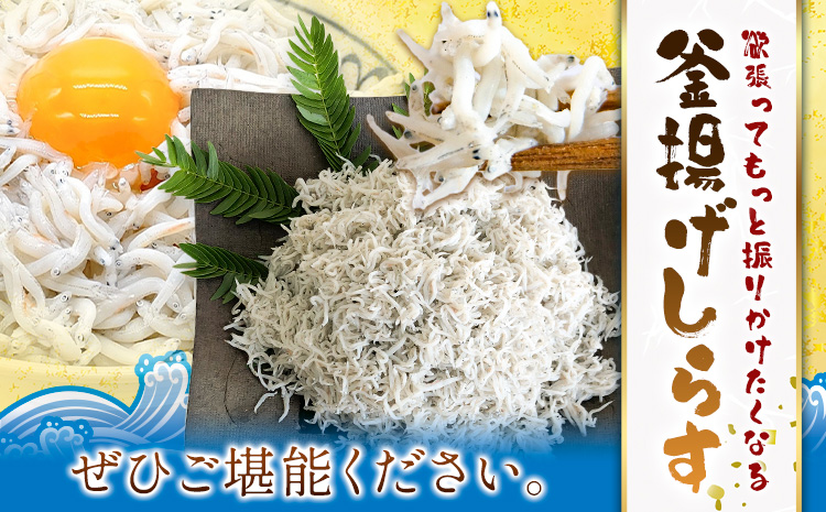 釜揚げしらす 大津港水揚げ しらす 2kg (茨城県共通返礼品：北茨城市) 川崎水産有限会社 《30日以内に出荷予定(土日祝除く)》釜揚げ 減塩 茨城県 河内町 【配送不可地域あり】（沖縄・離島）---kawachhi_kwsi_4_2kg---