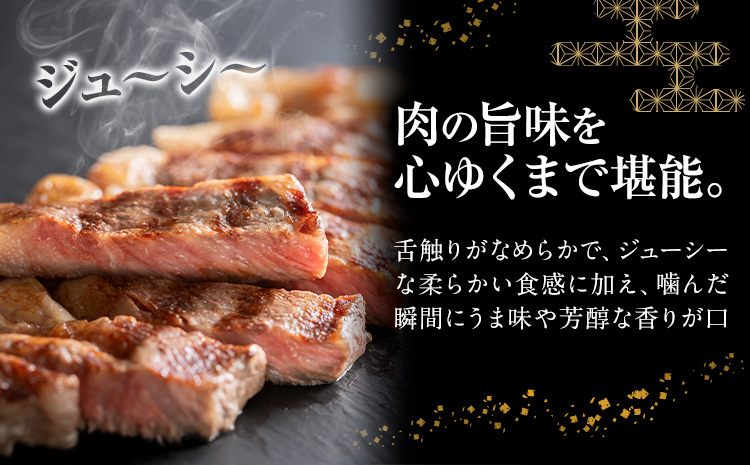 常陸牛 黒毛和牛 牛肉 サーロインステーキ 600g (茨城県共通返礼品：茨城県産) 有限会社加治 肉のカジ《30日以内に出荷予定(土日祝除く) 》茨城県 河内町 お肉 肉 牛肉 和牛 牛肉 サーロイン ステーキ 国産 国産牛 茨城県産【配送不可地域あり】（沖縄・離島）---kawachhi_kgi_2_600g---