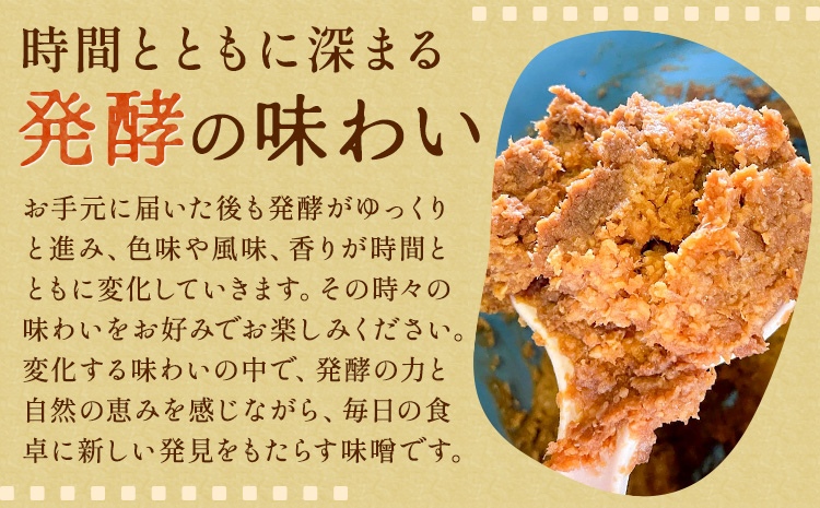 味噌 糀 みそ 糀味噌 450g (つぶタイプ) 川瀬糀店《30日以内に出荷予定(土日祝除く)》茨城県 河内町 送料無料 発酵食品 発酵 食品 味噌 糀 麹 みそ 味噌汁 みそ汁 お味噌 お取り寄せ---kawachhi_kkt_4_450g---
