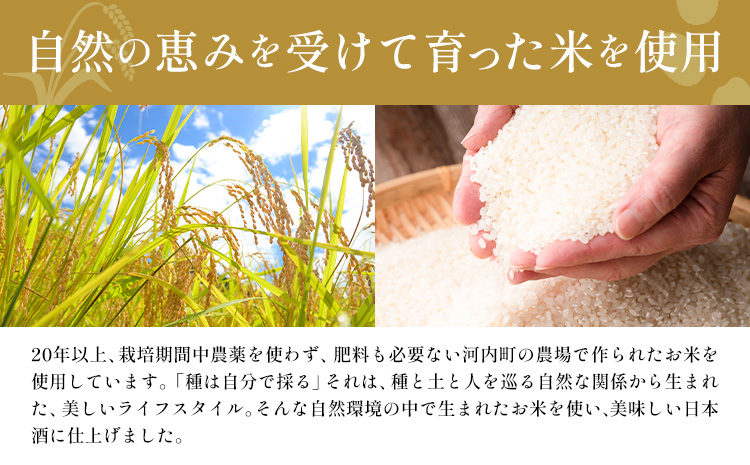 飲み比べセット 純米大吟醸 大天授 無限醸道 スパークリング 各 720ml × 1本 計2本《30日以内に出荷予定(土日祝除く)》麻原酒造株式会社 茨城県 河内町 酒 日本酒 【配送不可地域あり】---kawachhi_ashr_4_set---