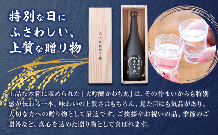大吟醸かわち丸 720ml 1本《30日以内に出荷予定(土日祝除く)》まちづくり河内株式会社かわち夢楽 酒 日本酒 お酒 大吟醸 地酒 茨城県 河内町---kawachhi_mura_11_1p---