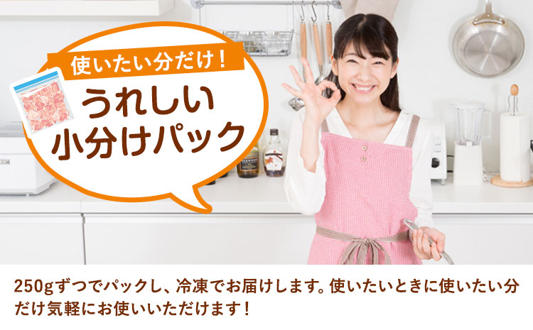 【ふるさと納税】常陸牛切り落とし 1kg (250g×4パック) 株式会社坂東太郎　おにくブッチャーズ《30日以内に出荷予定(土日祝除く)》茨城県 河内町 牛 牛肉 肉 おかず【配送不可地域あり】---kawachhi_btro_11_4p---