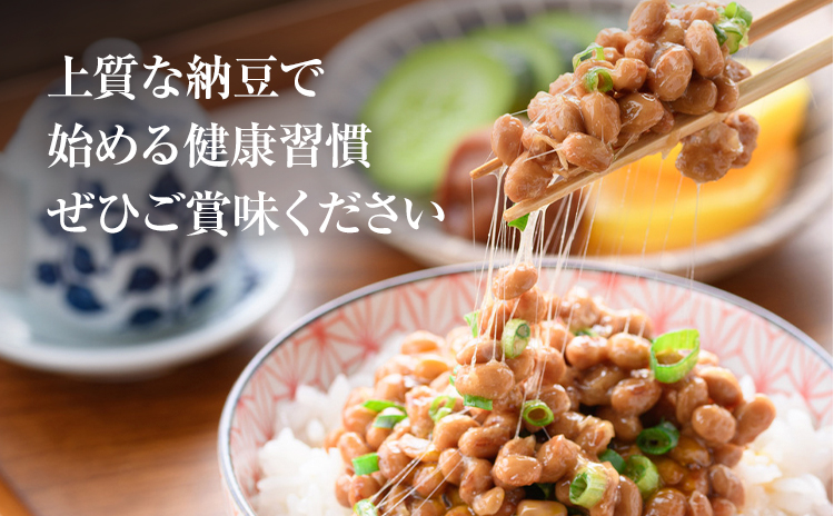 納豆 茨城名産 生板納豆 国産大豆 セット 12個 有限会社秋山食品《90日以内に出荷予定(土日祝除く)》茨城県 河内町 有機 納豆 茨城県産 茨城 ナットウキナーゼ たれ---kawachhi_akym_4_12i---