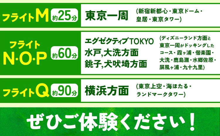 セスナ機遊覧飛行体験 フライトE（約25分コース） 新中央航空株式会社《30日以内に出荷予定(土日祝除く)》茨城県 河内町 セスナ 飛行体験---kawachhi_skk_5_25min---