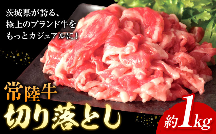 常陸牛 切り落とし 500g × 2パック 1kg (茨城県共通返礼品：茨城県産) ワークミート《30日以内に出荷予定(土日祝除く)》茨城県 河内町 常陸牛 和牛 切り落とし 焼肉 牛丼 肉じゃが 牛肉 牛 1000g---kawachhi_wm_1_1kg---