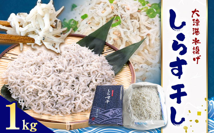 しらす干し 大津港水揚げ しらす 1kg (茨城県共通返礼品：北茨城市) 川崎水産有限会社 《30日以内に出荷予定(土日祝除く)》しらす干 減塩 茨城県 河内町 【配送不可地域あり】（沖縄・離島）---kawachhi_kwsi_1_1kg---
