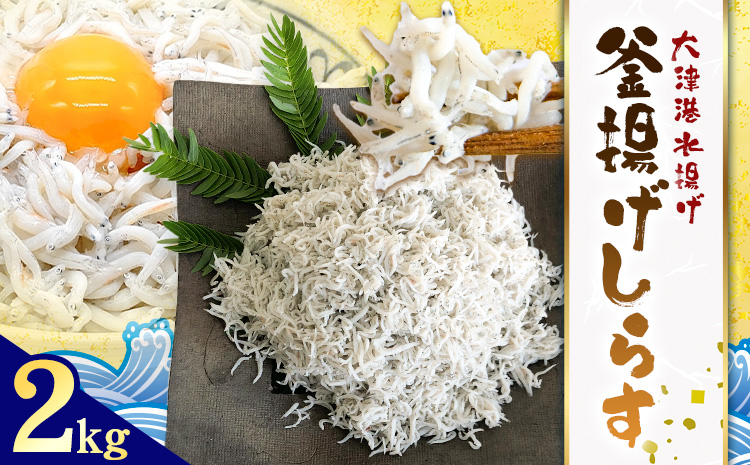 釜揚げしらす 大津港水揚げ しらす 2kg (茨城県共通返礼品：北茨城市) 川崎水産有限会社 《30日以内に出荷予定(土日祝除く)》釜揚げ 減塩 茨城県 河内町 【配送不可地域あり】（沖縄・離島）---kawachhi_kwsi_4_2kg---