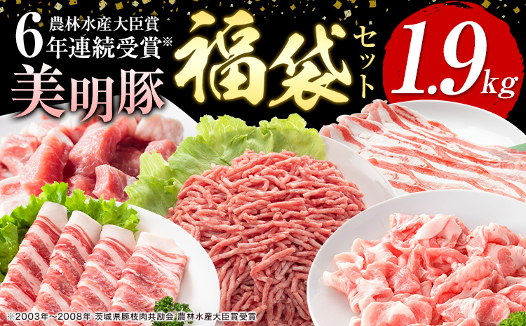 豚肉 肉 福袋 セット 美明豚 肩ロース バラ 挽肉 切り落とし 角切り 計1.9kg ワークミート《90日以内に出荷予定(土日祝除く)》茨城県 河内町 豚肉セット SPF豚 びめいとん 詰め合わせ 部位 豚 挽き肉 切落し 豚バラ ロース お取り寄せ---kawachhi_wm_18_set---