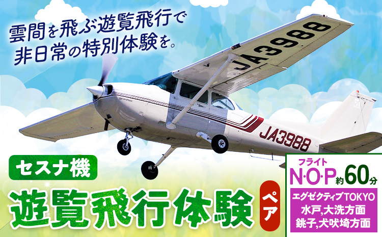 セスナ機遊覧飛行体験 ペア フライトN・O・P（約60分コース） 新中央航空株式会社《30日以内に出荷予定(土日祝除く)》茨城県 河内町 セスナ 飛行体験---kawachhi_skk_10_60min---