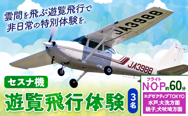 セスナ機遊覧飛行体験 3名 フライトN・O・P（約60分コース） 新中央航空株式会社《30日以内に出荷予定(土日祝除く)》茨城県 河内町 セスナ 飛行体験---kawachhi_skk_21_60min---