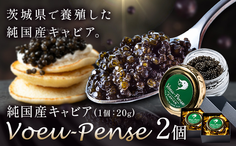キャビア 純国産キャビア Voeu-Pense 2個 《12月中旬頃より出荷》キャビアフィッシュカンパニー 高級 チョウザメ クラッカー バゲット パスタ 茨城県 河内町---kawachhi_kfc_2_2i---