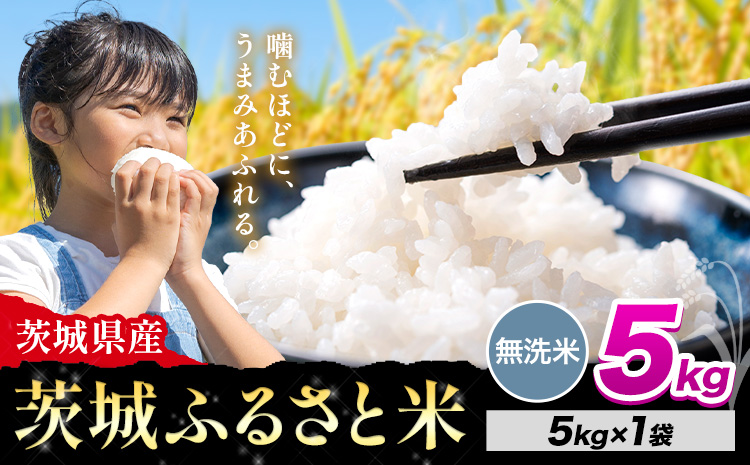 米 茨城 ふるさと米 無洗米 5kg《7-14日以内に出荷予定(土日祝除く)》茨城県 河内町 米 国産 お米 おこめ お弁当 おにぎり---kawachhi_lcl_283_5kg---