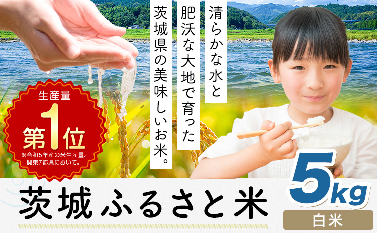 米 茨城 ふるさと米 精米 5kg《7-14日以内に出荷予定(土日祝除く)》茨城県 河内町 米 国産 お米 おこめ お弁当 おにぎり---kawachhi_lcl_287_5kg---