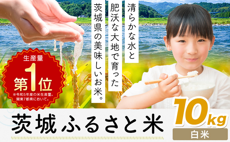 米 茨城 ふるさと米 精米 10kg《7-14日以内に出荷予定(土日祝除く)》茨城県 河内町 米 国産 お米 おこめ お弁当 おにぎり---kawachhi_lcl_288_10kg---