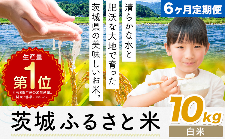 【6ヶ月定期便】米 茨城 ふるさと米 白米 10kg《申込月の翌月より出荷開始》茨城県 河内町 米 国産 お米 おこめ お弁当 おにぎり---k_kawachhi_lcl_342_10kg6tei---