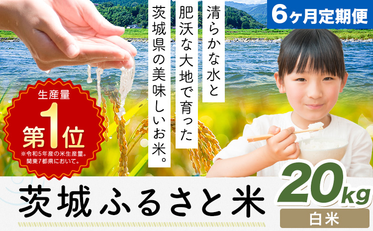【6ヶ月定期便】米 茨城 ふるさと米 白米 20kg《申込月の翌月より出荷開始》茨城県 河内町 米 国産 お米 おこめ お弁当 おにぎり---k_kawachhi_lcl_344_20kg6tei---