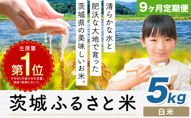 【9ヶ月定期便】米 茨城 ふるさと米 白米 5kg《申込月の翌月より出荷開始》茨城県 河内町 米 国産 お米 おこめ お弁当 おにぎり---k_kawachhi_lcl_349_5kg9tei---