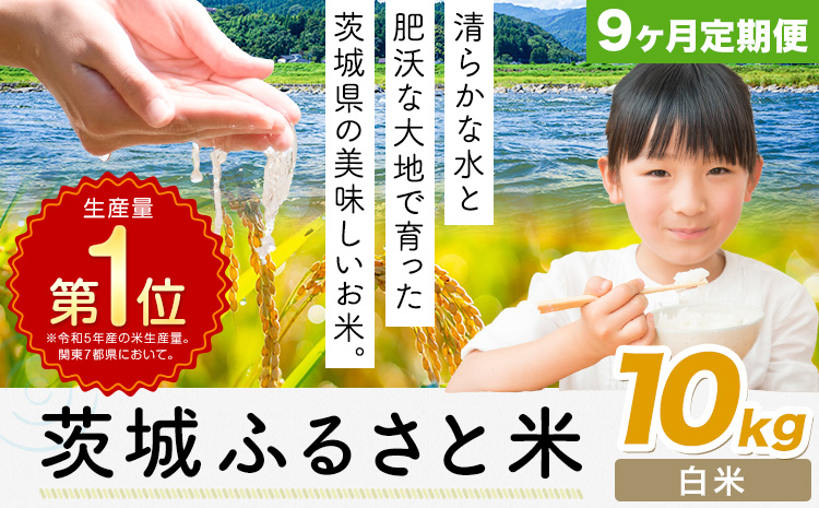 【9ヶ月定期便】米 茨城 ふるさと米 白米 10kg《申込月の翌月より出荷開始》茨城県 河内町 米 国産 お米 おこめ お弁当 おにぎり---k_kawachhi_lcl_350_10kg9tei---