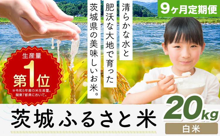 【9ヶ月定期便】米 茨城 ふるさと米 白米 20kg《申込月の翌月より出荷開始》茨城県 河内町 米 国産 お米 おこめ お弁当 おにぎり---k_kawachhi_lcl_352_20kg9tei---