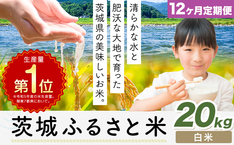 【12ヶ月定期便】米 茨城 ふるさと米 白米 20kg《申込月の翌月より出荷開始》茨城県 河内町 米 国産 お米 おこめ お弁当 おにぎり---k_kawachhi_lcl_360_20kg12tei---