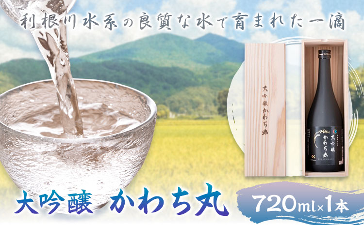 大吟醸かわち丸 720ml 1本《30日以内に出荷予定(土日祝除く)》まちづくり河内株式会社かわち夢楽 酒 日本酒 お酒 大吟醸 地酒 茨城県 河内町---kawachhi_mura_11_1p---
