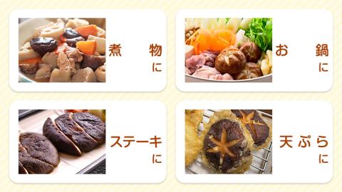 八千代町産 乾燥 しいたけ 約40g 椎茸 シイタケ きのこ キノコ 乾燥 ふるさと納税 6000円 茨城県 八千代町 [CW004ya]
