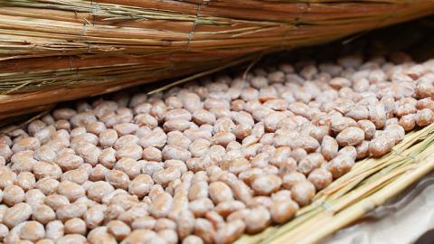 国産大豆にこだわった「横島醤油納豆」の大豆製品詰め合わせ　A　[AO017ya]