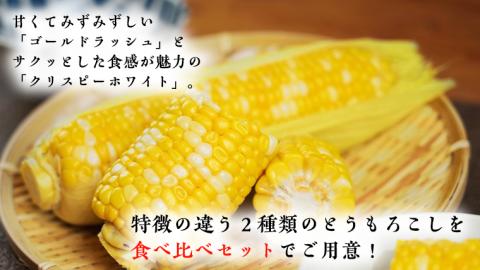 ＜先行予約＞ 2023年7月中旬以降発送 【訳あり】 加熱調理済み 真空とうもろこし 食べ比べセット（ ゴールドラッシュ＆クリスピーホワイト ） 約3kg 無添加 保存料不使用 ［AU027ya]