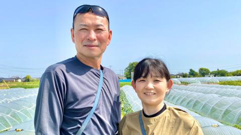 【先行予約 2026年6月下旬以降発送 】 【 令和8年産 】 朝採り 白い とうもろこし ピュアホワイト 約 6kg トウモロコシ 期間限定 甘い 生食 [AX028ya] ピュアホワイト（約6kg）