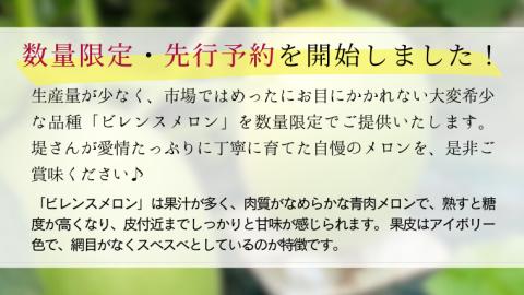 【 先行予約 6月中旬以降発送 】 令和5年産 ビレンス メロン 約2kg 1箱 2玉入り めろん 期間限定 産地直送 果物 フルーツ 青肉 甘い 新鮮 希少 ギフト [AV007ya]