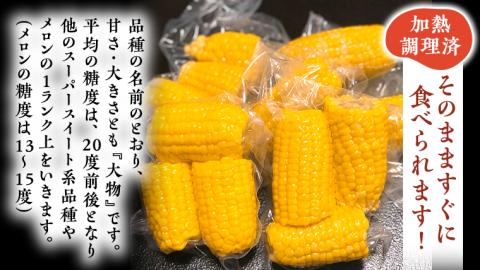 【 先行予約 ・7月中旬以降発送】【 訳あり 】 加熱殺菌済み 真空 とうもろこし ( おおもの ) 約3kg トウモロコシ 食べくらべ 無添加 保存料不使用 真空パック 甘い [AU077ya]