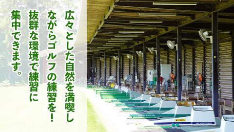 ゴルフ練習場回数券 5回券（250球） メンバー用 イベントやチケット ゴルフ場利用券 打ちっぱなし 回数券 アウトドア メンバー [CD001ya]