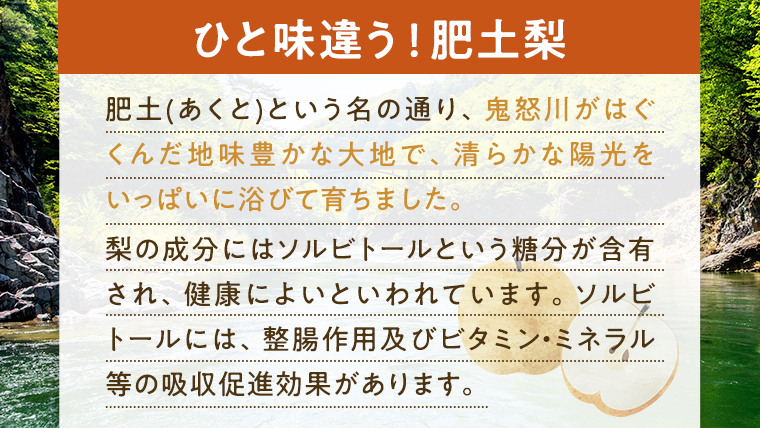 【 先行予約 】【 8月上旬 以降発送】 八千代町産 肥土 （ あくと ） 梨 「 幸水梨 」 約 5kg 期間限定 なし 果物 フルーツ 甘い [AA007ya]
