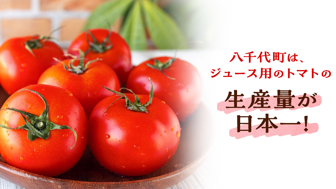 惚れぼれとまとの トマトジュース ( 無塩 ) 1箱 30本入 とまと ジュース 完熟トマト 健康 美容 茨城県産 食塩無添加 野菜ジュース [AA010ya]