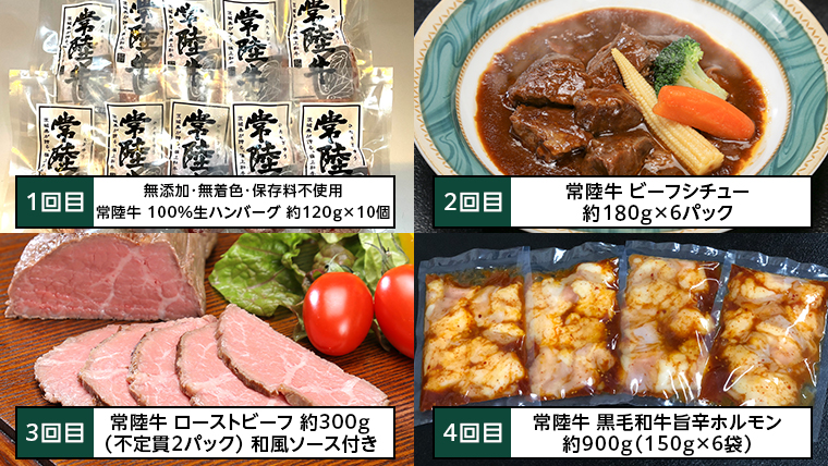 【茨城県共通返礼品】【定期便】 【6回コース】 常陸牛 食べ尽くし 定期便 （6ヶ月連続でお届け） 牛肉 黒毛和牛 国産 贅沢 ビーフシチュー ハンバーグ ローストビーフ 牛もつ ホルモン 簡単 手軽 [AU035ya]