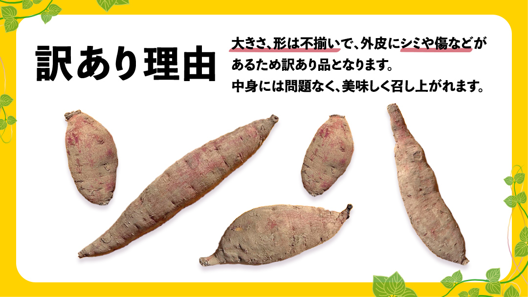 訳あり さつまいも 紅はるか 約 5kg 土付き 無選別 茨城 八千代町産 生芋 サツマイモ さつま芋 焼き芋 やきいも 芋 イモ 野菜 不揃い 規格外 長期熟成 おやつ デザート 秋 旬 農家直送 5000円 【 先行予約 2025年10月下旬以降発送 】 [AX046ya]
