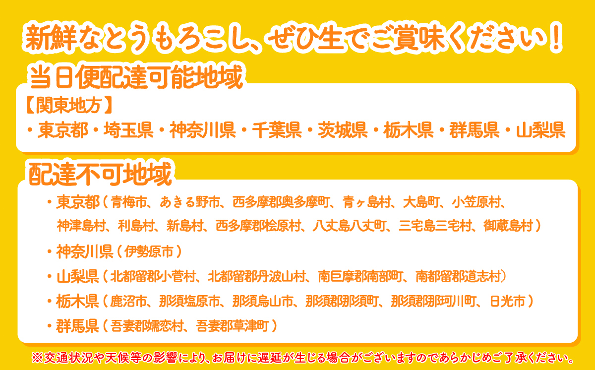 【関東＋山梨県限定 当日便】【先行予約 2026年6月中旬以降発送 】 【 令和8年産 】深夜採り 朝出荷 とうもろこし （ ゴールドラッシュ ） 約6kg トウモロコシ 深夜採り 甘い 新鮮 スイートコーン コーン 野菜 極甘 岩田さん 2026 [AX066ya] 【当日便】ゴールドラッシュ（約6kg）
