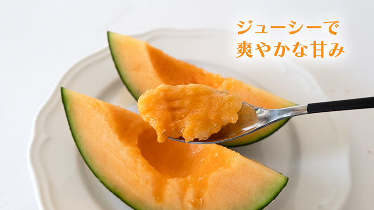 【 令和8年産 】【 先行予約 】タカミレッドメロン 秀品 1箱 2玉入り 飯岡 メロン 貴味 タカミ 赤肉 果物 フルーツ 甘い [CG002ya] タカミレッドメロン 秀品 2玉