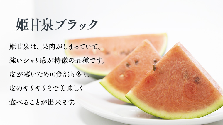 【 令和8年産 】【 先行予約 】小玉 スイカ 姫甘泉ブラック 1箱 2玉入り すいか 黒 西瓜 数量限定 甘い 夏 果物 [CG005ya] 小玉スイカ 姫甘泉ブラック 2玉