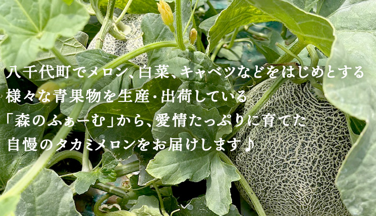 【 先行予約 2025年6月中旬 以降発送】 令和7年産 八千代町産 タカミメロン 優以上 1箱 （ 3 ～ 5玉 入り） 期間限定 産地直送 果物 フルーツ メロン 甘い [CL001ya]