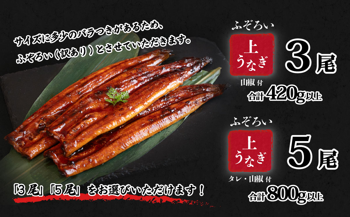 【訳アリ】国産うなぎ 蒲焼き 5尾 セット ( 800g 以上) 大きさの不揃い タレ・山椒付き ウナギ 鰻 ふぞろい 不揃い うな重 ひつまぶし 人気 茨城 八千代町 ふるさと納税 冷凍 [SF109ya] 上うなぎ 5尾 800g | 寄附金額：19,000円