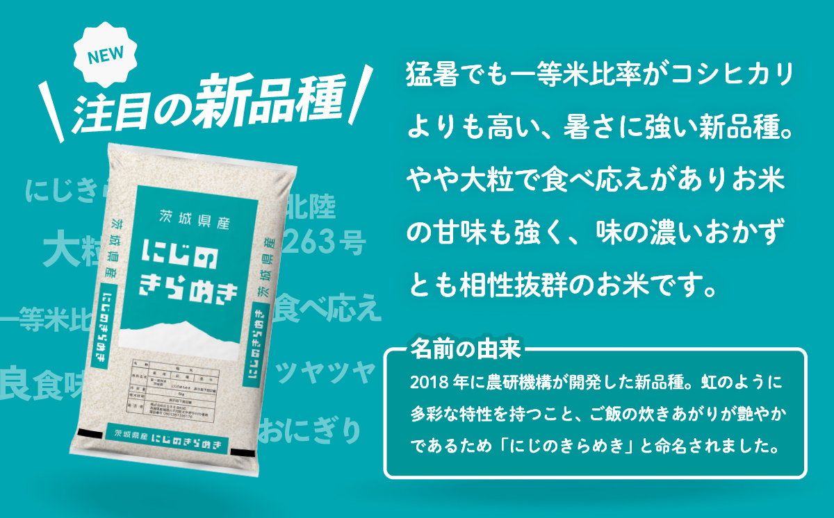 【スピード発送】にじのきらめき 20kg 令和7年産 茨城県産 白米 精米 茨城県 お米 米 [SF396yai] 【スピード発送】にじのきらめき 20kg(5kg×4袋)
