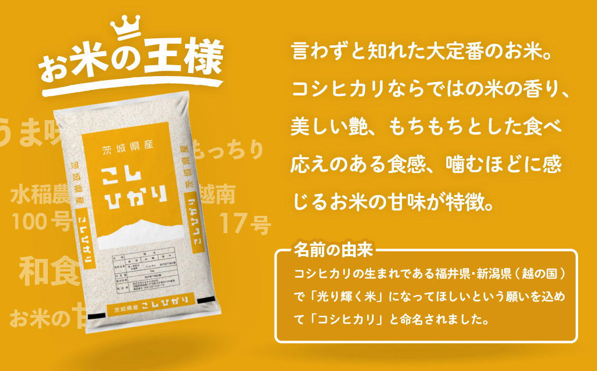 【2月発送】コシヒカリ 5kg 令和7年産 新米 茨城県産 白米 精米 茨城県 お米 米 [SF400yai] 【2月発送】コシヒカリ 5kg(5kg×1袋)