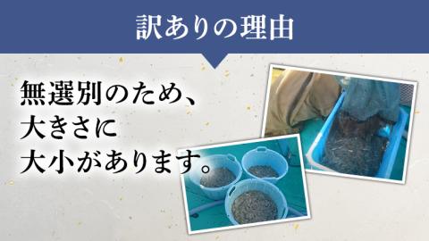 【先行予約 2026年5月発送予定】【凍眠】 冷凍 生しらす 約1kg 【訳あり】 しらす シラス 生シラス 新鮮 天然 小分け 魚介 海鮮 国産 刺身 真空パック 訳あり 凍眠 [AU038ya]