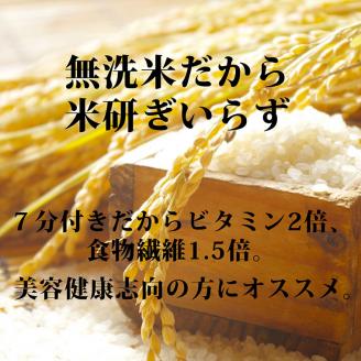 ななひかり米 10kg （5kg×2）【 無洗米 】 米 こしひかり コシヒカリ こめ コメ ご飯 ごはん 茨城県 八千代町 41000円 [AR003ya]