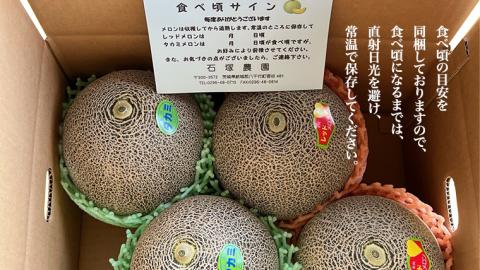 タカミレッド（赤肉）・タカミメロン（青肉）食べ比べ 2色 セット 合計4玉入り（約5kg～7kg）【2026年6月上旬以降発送】  期間限定 [BU003ya] 食べ比べ2色セット