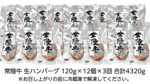【茨城県共通返礼品】【３ヶ月定期便】 黒毛和牛 常陸牛 100% 特製 プレミアム 生ハンバーグ 120g×12個入り 合計1,440g 八千代町産 白菜 使用 無添加 無着色 保存料不使用 冷凍 牛 [AU055ya]
