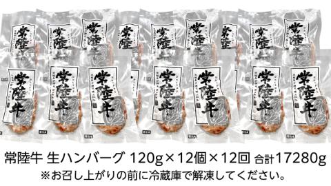【茨城県共通返礼品】【12ヶ月定期便】 黒毛和牛 常陸牛 100% 特製 プレミアム 生ハンバーグ 120g×12個入り 合計1,440g 八千代町産 白菜 使用 無添加 無着色 保存料不使用 冷凍 [AU059ya]